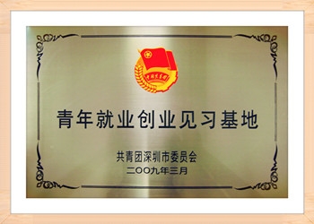 比蓝翻译好不好？